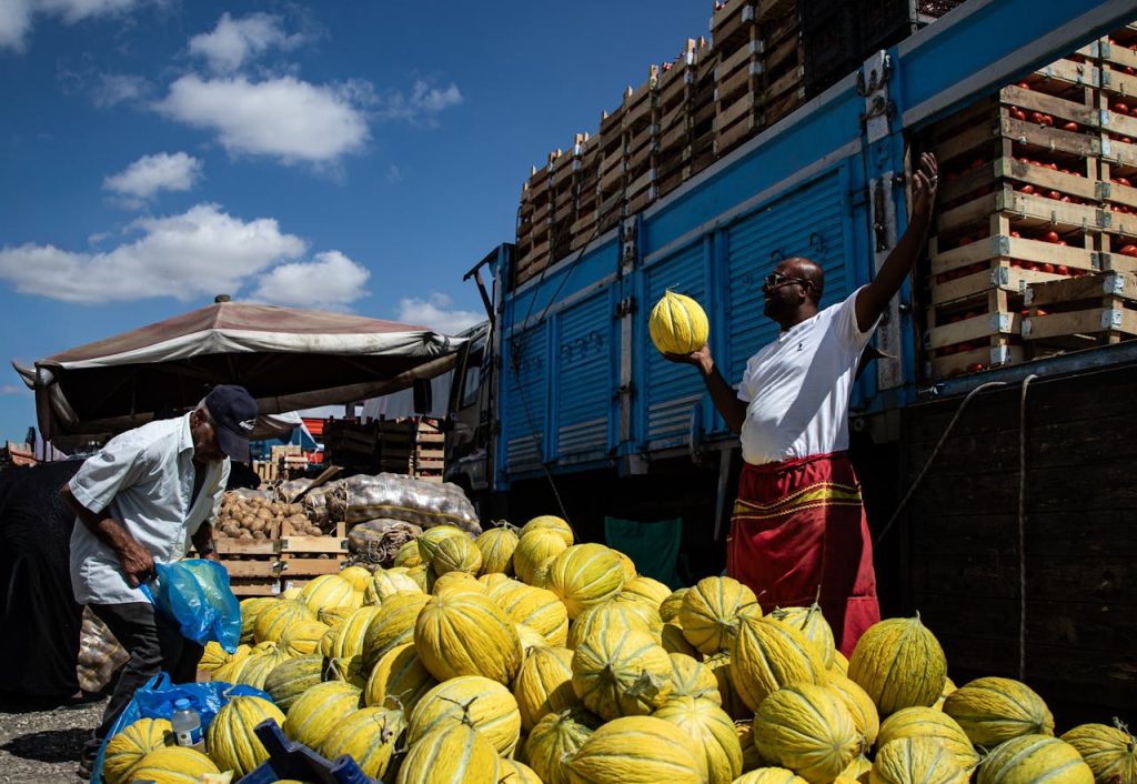 pexels photo 34354129 Vibrant outdoor market in Kırklareli, Turkey showcasing fresh melons with local vendors under clear skies.